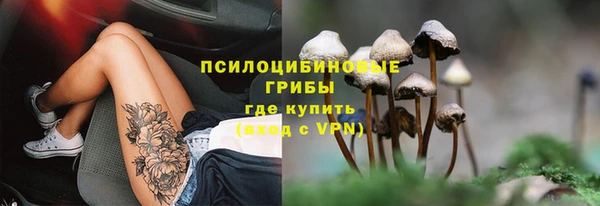 первитин Алексин