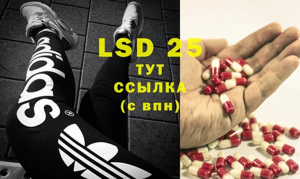 PSILOCYBIN Алексеевка