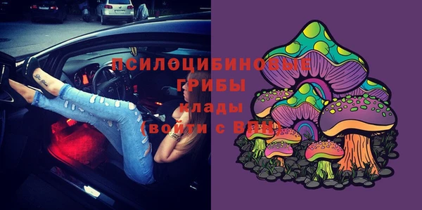 ECSTASY Армянск