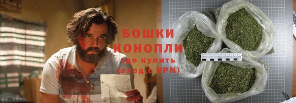 PSILOCYBIN Алексеевка